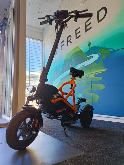 3 wheel e-scooter for adults