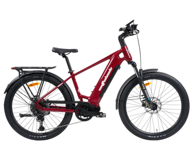 Wattwheels Bighorn S V5 electric bike, top tube step-over frame