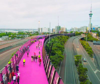 E-scooter NZ: Legalise e-scooters in cycleways.