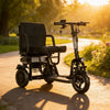 Electric wheelchair on a path in a park with flowers and trees in the background