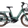 Wattwheels S-Cargo electric cargo bike in Fern Green