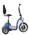 Zappy E trike with Golf caddy